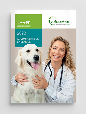 Brochure Corporate 2021