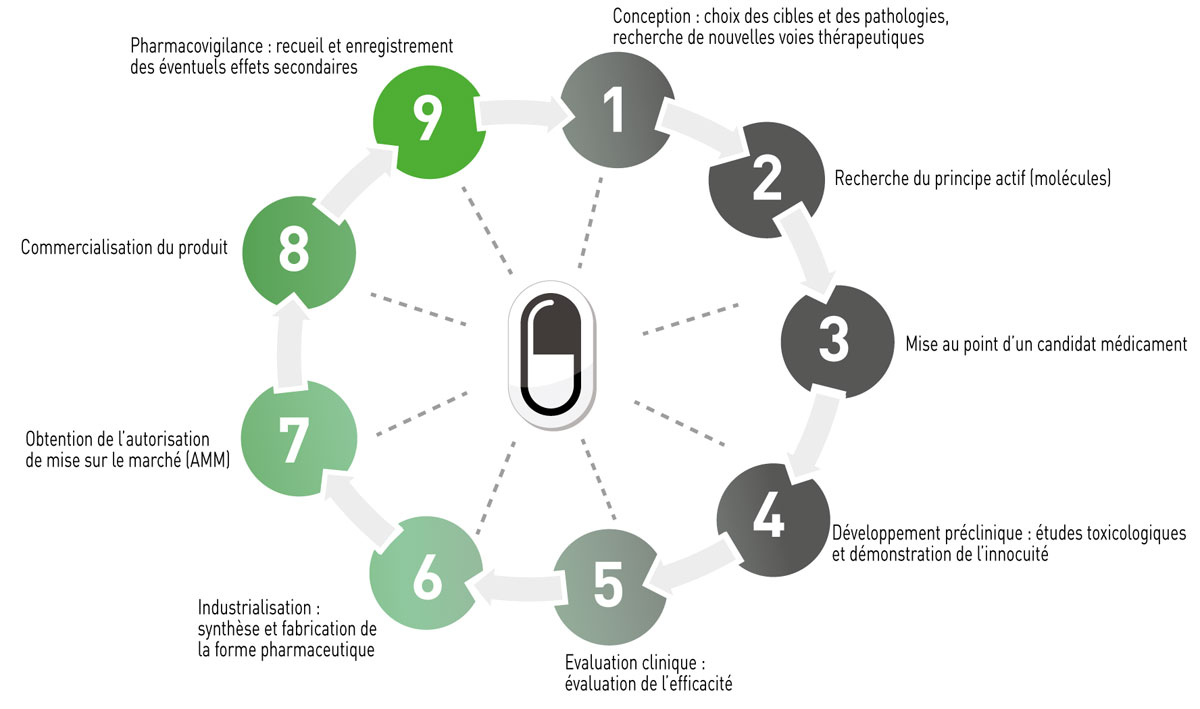 les principales phases du développement R&D