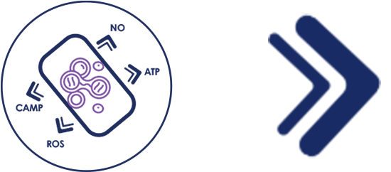 How our system works picto 6